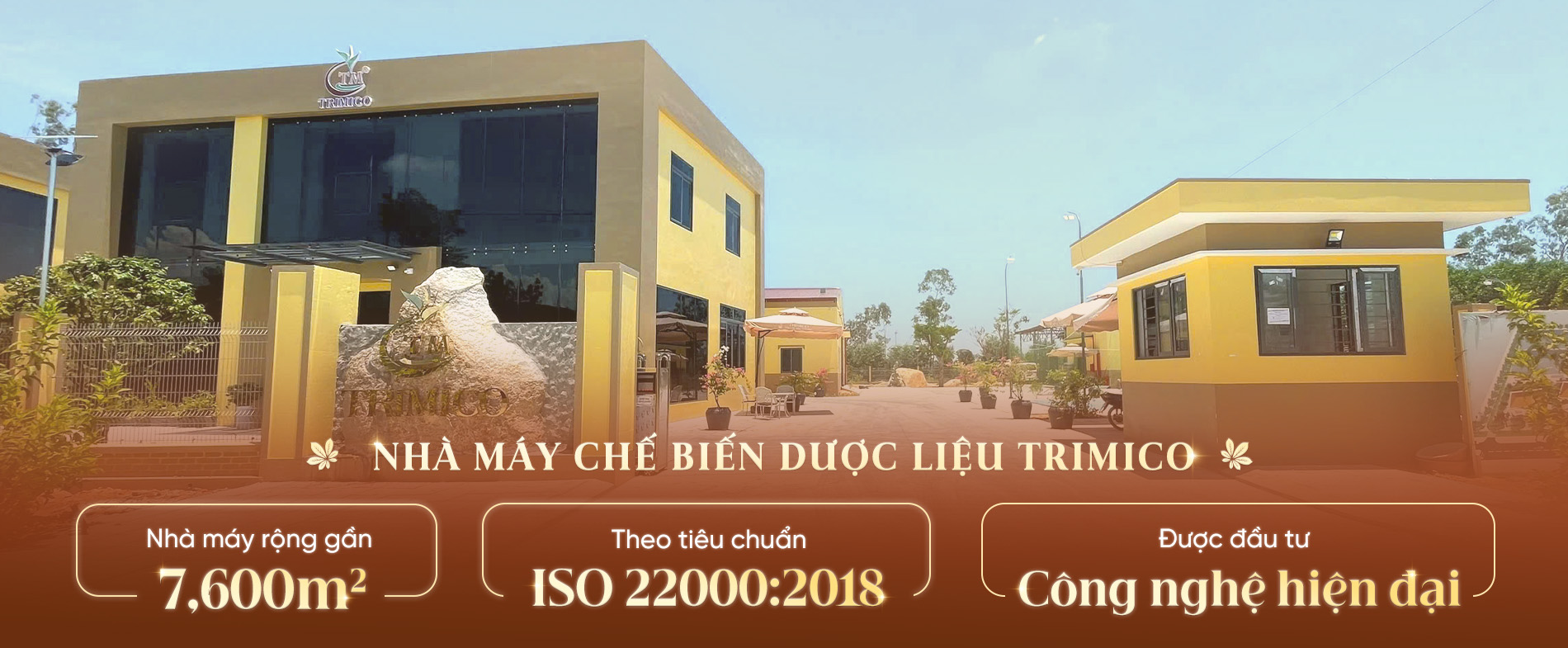 Nhà máy chế biến dược liệu TRIMICO